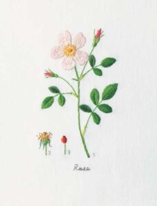 Embroidering Rose Flowers Image